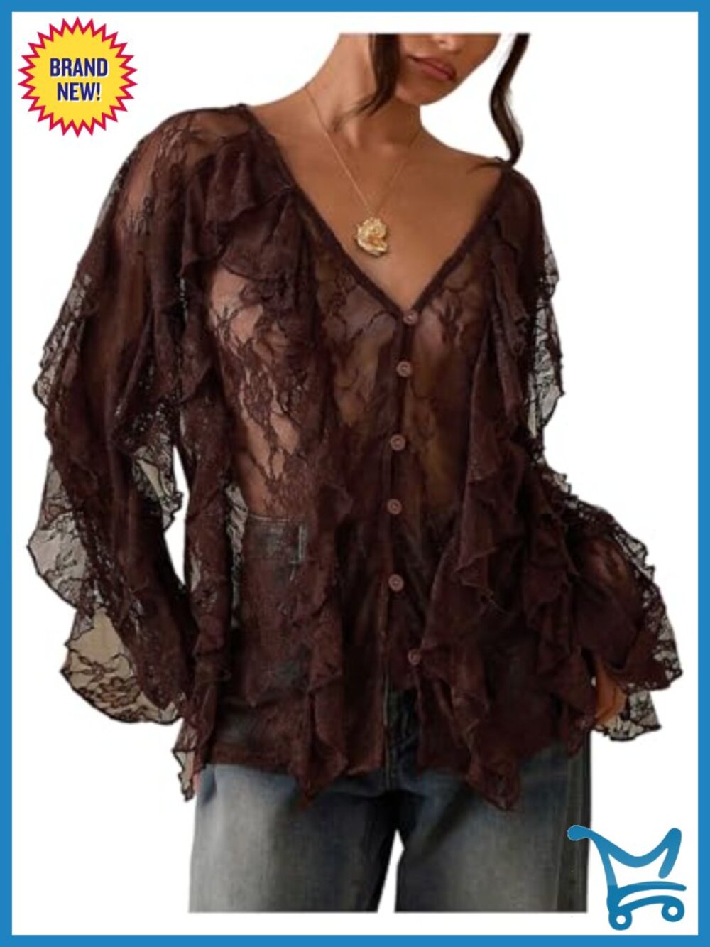 Sheer Mesh Lace Ruffle Long Sleeve V-Neck Button Down Blouse